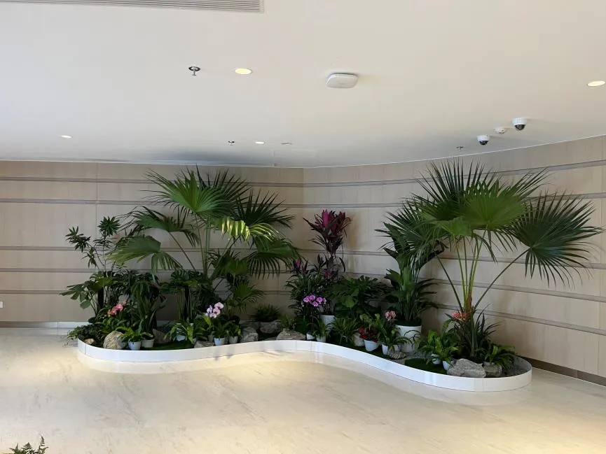 前湾花卉租赁方案